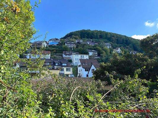 IMG_9059-www-50 Kopie.jpeg