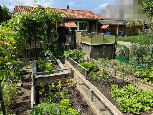 Nutzgarten 2.jpeg