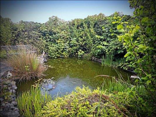 Idyllisch angelegter Ziergarten mit Gartenteich