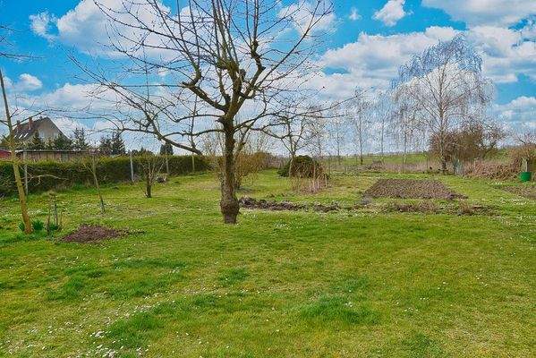 Blick in den Garten, nur teilweise eingezäunt