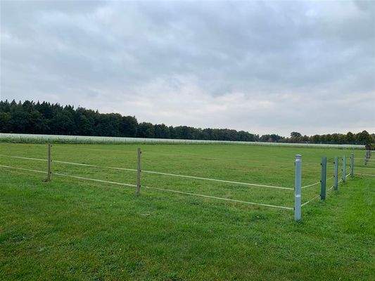 Erweiterungspotenzial