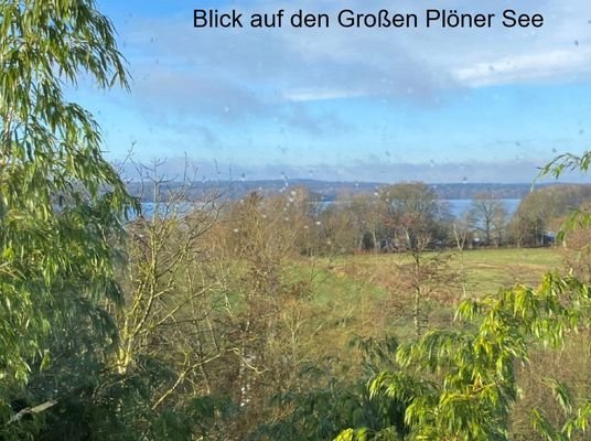 Bild18