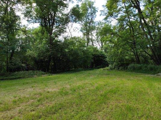 Wiese (zugehörig zur Mühle)