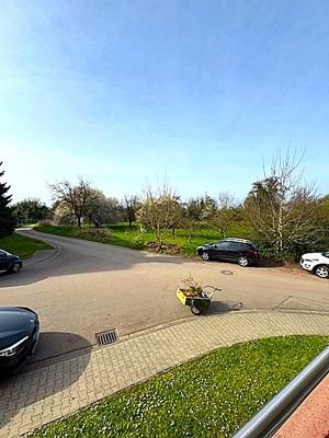 IMG_6027.jpg