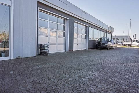 Mayen Halle, Mayen Hallenfläche