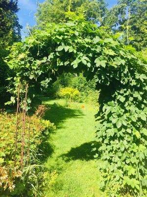 Bild21