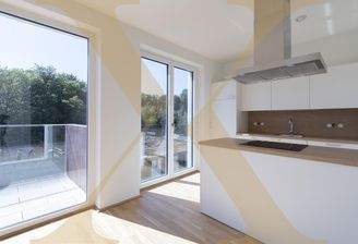 Beispielfoto Wohn-Essbereich