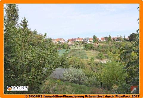 Meißen Häuser, Meißen Haus kaufen