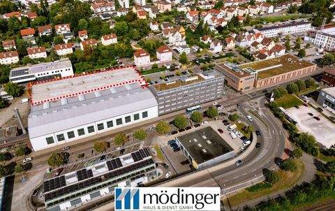 Göppingen Halle, Göppingen Hallenfläche