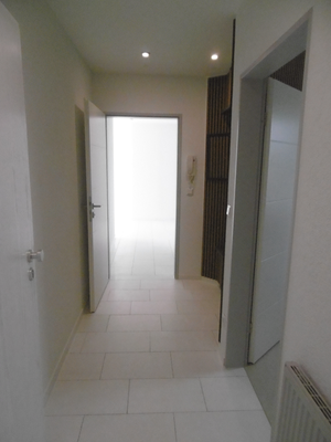 Wohnungseingang Bild 1.png