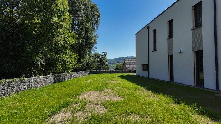 Garten mit Rasen im Anwuchs