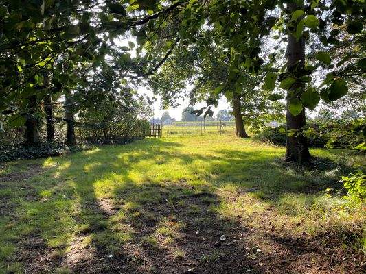 Blick über die angrenzenden Pferdewiesen
