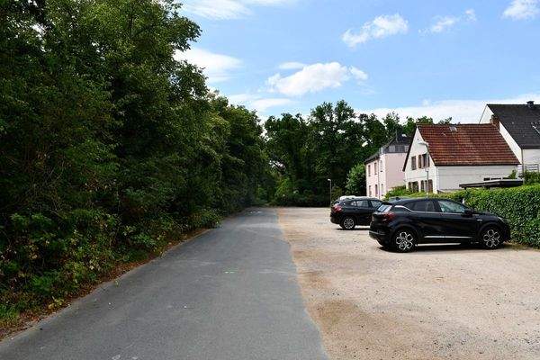 Wald nahe Wohnlage.JPG