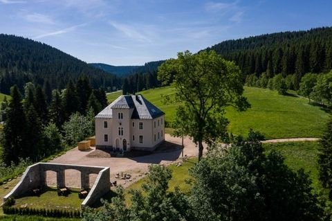 Eibenstock Häuser, Eibenstock Haus kaufen