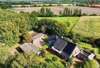 Gebäude und Weiden im Hintergrund