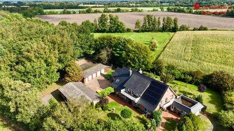 Bippen Häuser, Bippen Haus kaufen