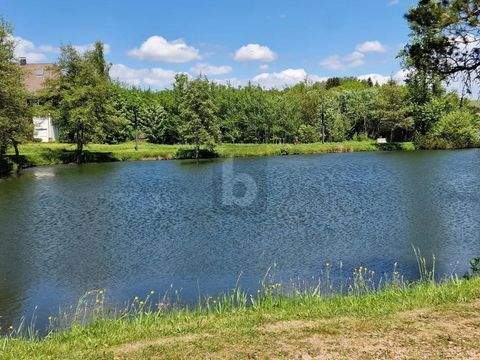 Herrischried Industrieflächen, Lagerflächen, Produktionshalle, Serviceflächen