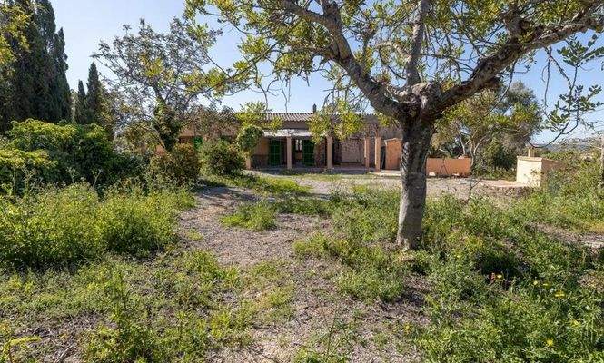 Finca zum Ausbau zwischen Santa Maria und Alaró zu verkaufen, Mallorca