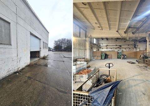 Leipzig Halle, Leipzig Hallenfläche