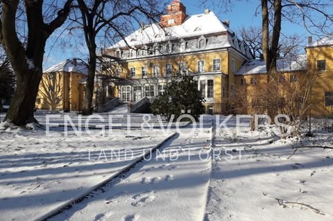 Reichenbach Häuser, Reichenbach Haus kaufen