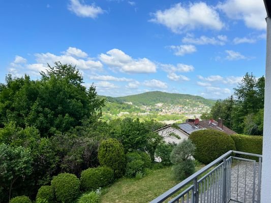 Ausblick