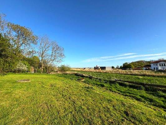 52) Garten und Hauskoppel.jpg