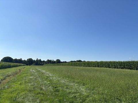 Edewecht Bauernhöfe, Landwirtschaft, Edewecht Forstwirtschaft