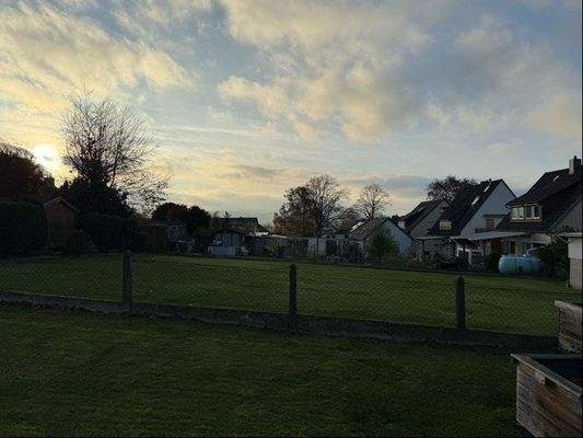 Blick aus dem Garten