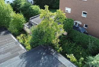 Außenansicht mit Garten