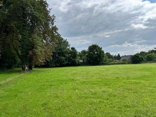 Wiese beider Häuser