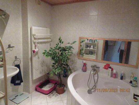 DG: Bad (innenliegend) mit Wanne