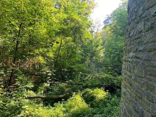 7 Blick seitlich Böschungsbereich Mühlenteich-Bach