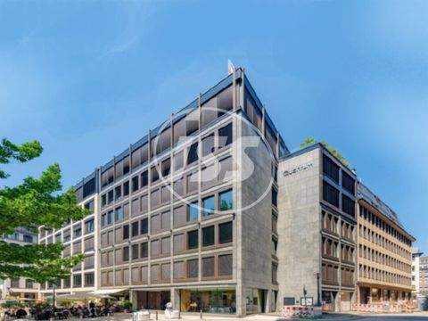 Hamburg Ladenlokale, Ladenflächen 