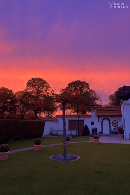 Sonnenuntergang über dem Garten 