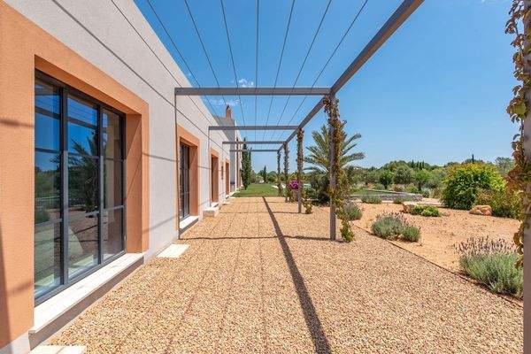 Südlich ausgerichtete Fensterfront mit Pergola – ideal für Rankpflanzen und Schattenplätze