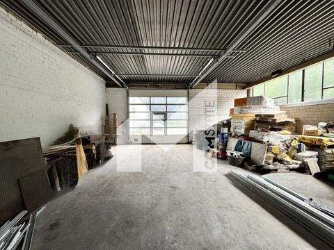 Bergisch Gladbach Halle, Bergisch Gladbach Hallenfläche