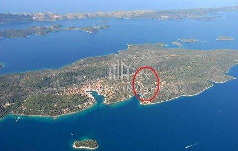 Iz - Rava Bauernhöfe, Landwirtschaft, Iz - Rava Forstwirtschaft