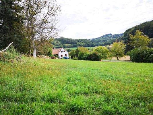 2022-09-14 10.29.01.JPG