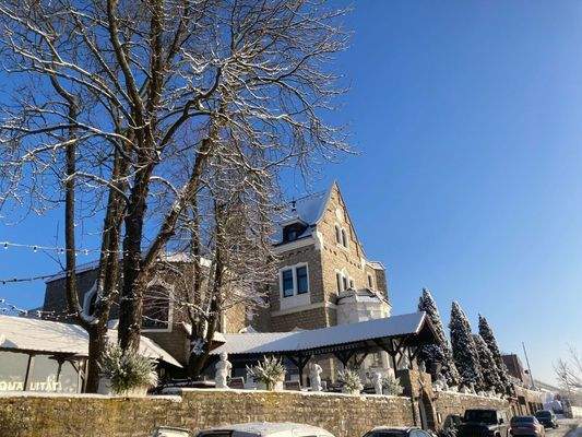 Winterimpressionen: Die Steinburg in unmittelbarer Nähe