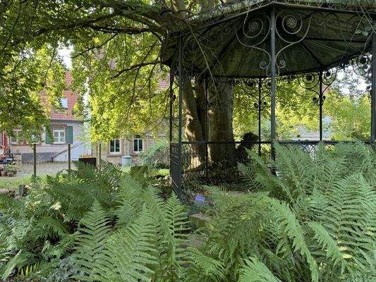 "Park am Weingut Domhof" 