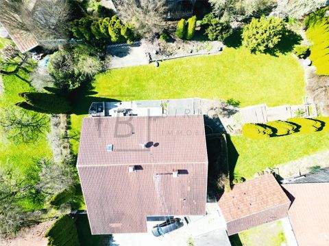 Babenhausen Häuser, Babenhausen Haus kaufen