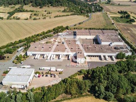 Drei Gleichen Halle, Drei Gleichen Hallenfläche