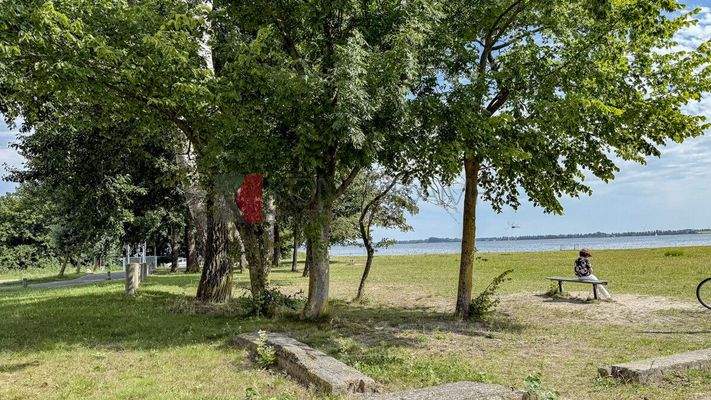 Parkanlage am kleinen Yachthafen