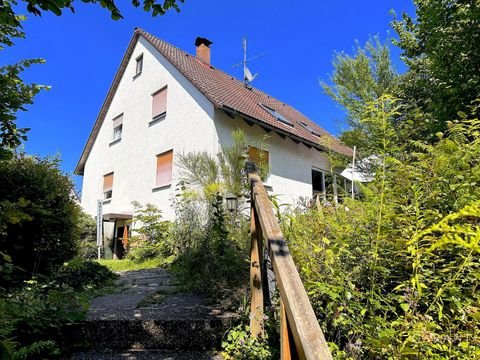 Henfenfeld Häuser, Henfenfeld Haus kaufen