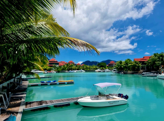 Bildschirmfoto 2024-08-22 um 12.21.41.png