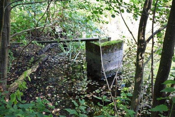 Teich rechts Ablauf.jpg