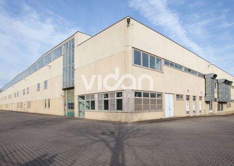 Recklinghausen Halle, Recklinghausen Hallenfläche