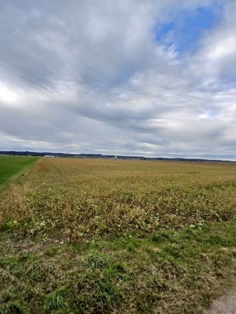 Mindelheim / Unterauerbach Bauernhöfe, Landwirtschaft, Mindelheim / Unterauerbach Forstwirtschaft