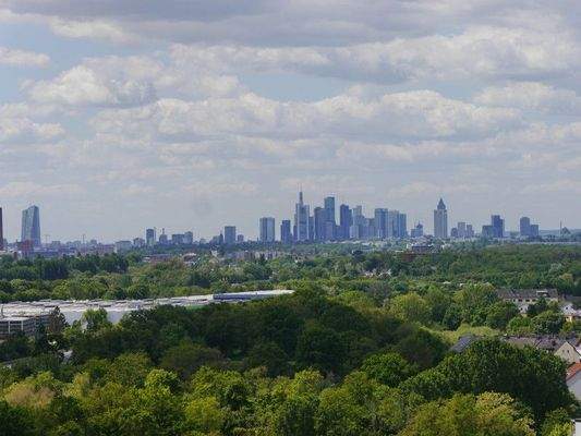 9 Skyline-Blick vom Balkon