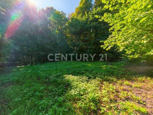 Ein kleiner Park als Garten hinterm Haus